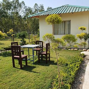 King Room Garden View